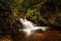 K&F Concept ND Filter Review